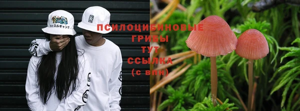 не бодяженный Баксан
